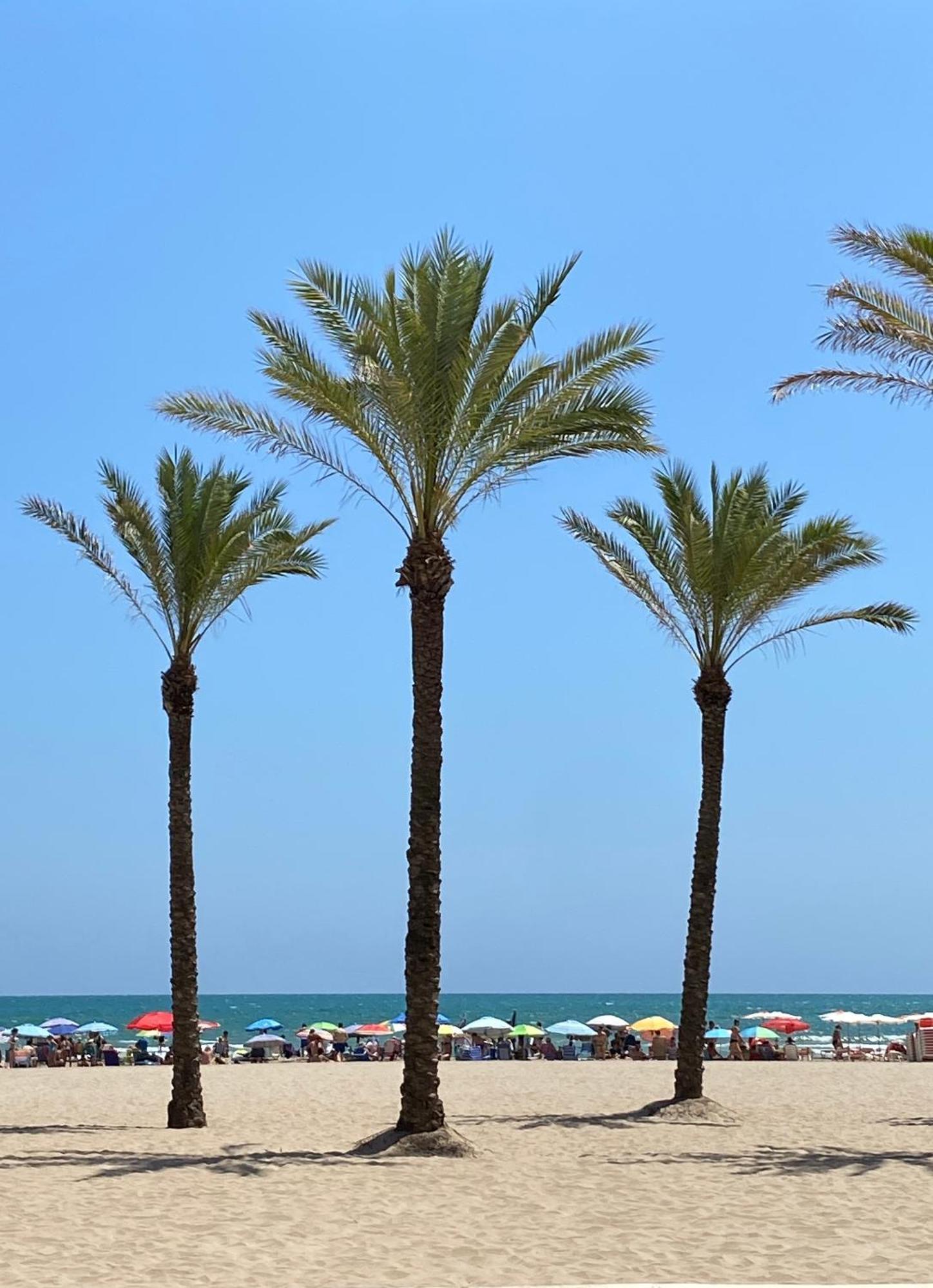 New Stylish Beach Front Apartment Cullera Exterior foto